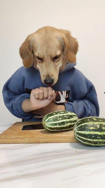 今日必吃的大瓜,揭秘娱乐圈最新猛料！