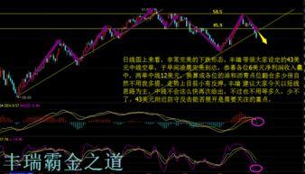 小瓜今日行情走势分析图,今日波动解析