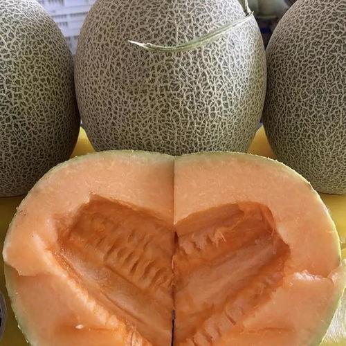 哈密瓜价格今日,涨跌波动一览