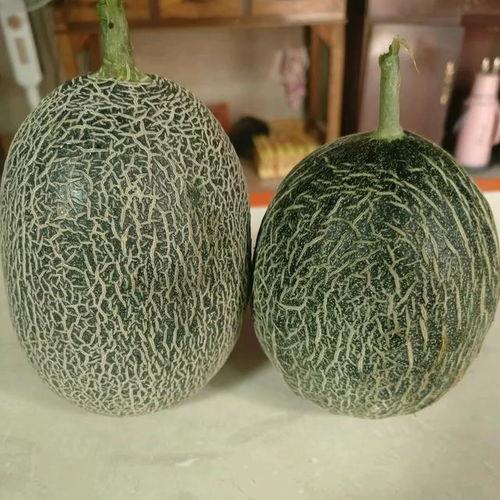 哈密瓜价格今日,涨跌波动一览