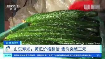 今日寿光瓜价,探寻今日市场动态与影响”