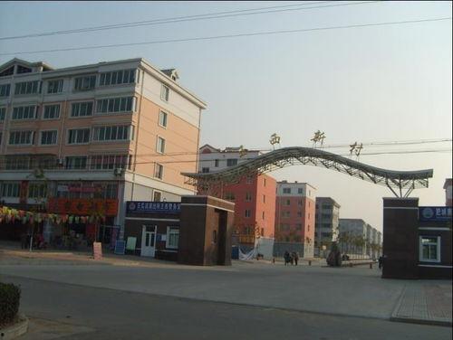 肥城王瓜店今日菜价,新鲜蔬菜实惠价，尽享田园美味