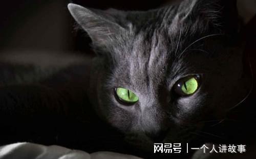 吃瓜抖音山猫无名黑料,吃瓜群众热议的无名黑料事件