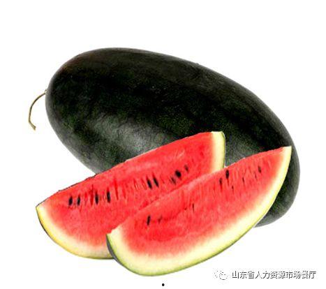 海外吃瓜网黑料专属通道,独家爆料，真相大白