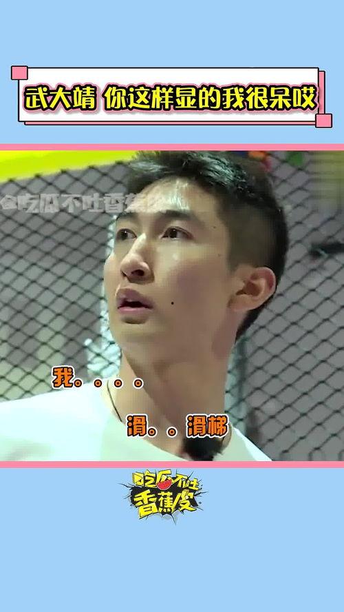 吃瓜不吐香蕉皮黑曼巴,黑曼巴教你轻松应对职场黑幕