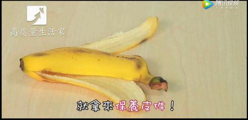 吃瓜不吐香蕉皮黑曼巴,黑曼巴教你轻松应对职场黑幕