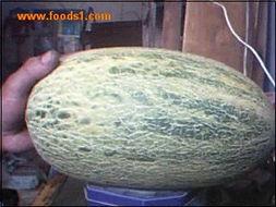 海南哈密瓜今日行情实时