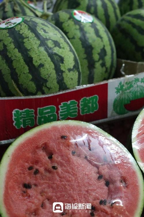 今日甜王瓜价格行情,价格波动背后的市场动态解析