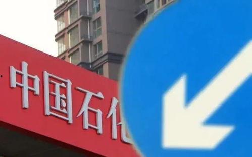 瓜州今日油价,实时动态解析与市场展望