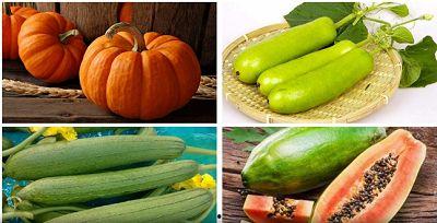 今日宜吃瓜的意思