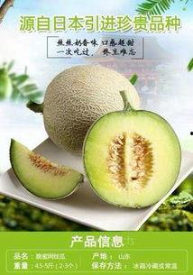 万邦哈密瓜今日批发价格,品质佳价优引关注”