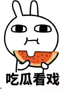 娱乐吃瓜酱记单词